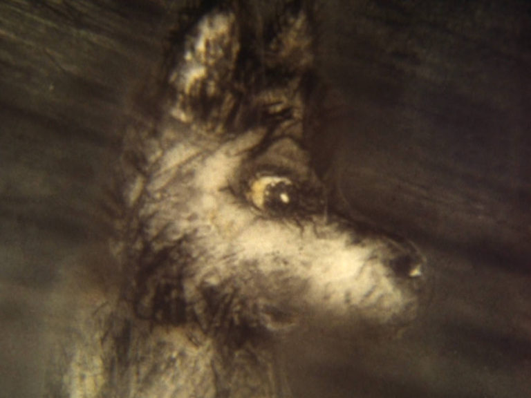 話の話 - 乳飲み子を見つめる狼の子